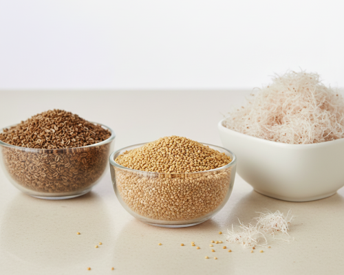 Gemini_Generated_Image_xvlln7xvlln7xvll